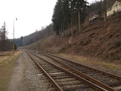 kraslice-odstraneni-drevin