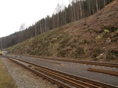 kraslice-odstraneni-drevin