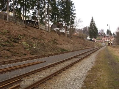 kraslice-odstraneni-drevin