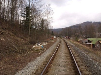 kraslice-odstraneni-drevin