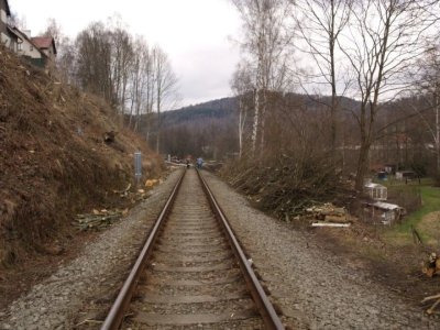 kraslice-odstraneni-drevin