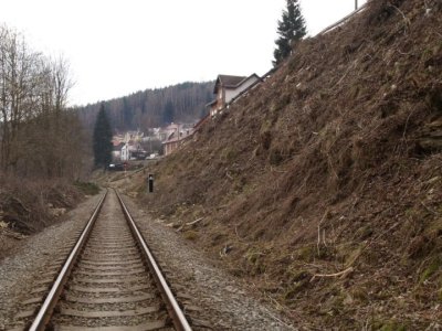 kraslice-odstraneni-drevin