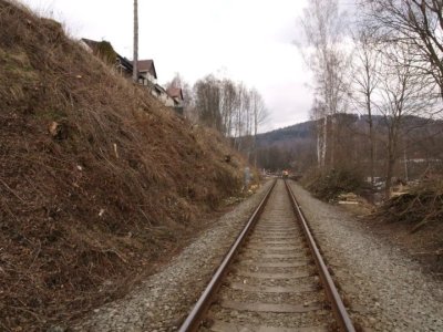 kraslice-odstraneni-drevin