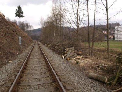 kraslice-odstraneni-drevin