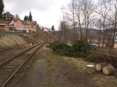 kraslice-odstraneni-drevin