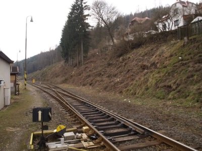 kraslice-odstraneni-drevin